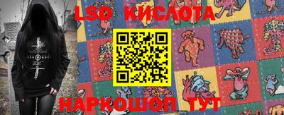 крисы Новозыбков
