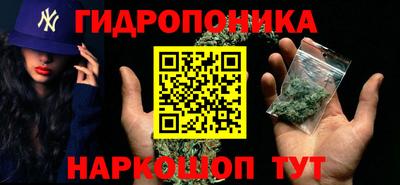 крисы Новозыбков