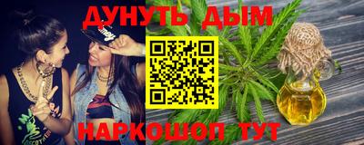 крисы Новозыбков