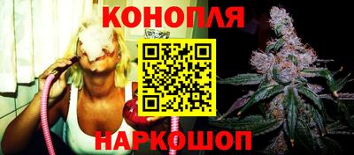 крисы Новозыбков