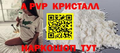 крисы Новозыбков