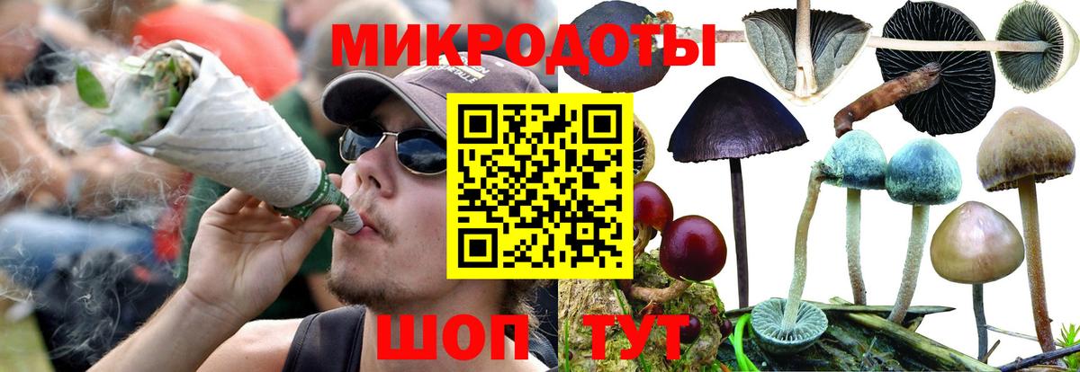 Галлюциногенные грибы Cubensis Соль-Илецк