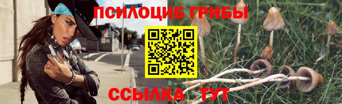 Соль-Илецк  Галлюциногенные грибы мицелий  Вход с VPN 